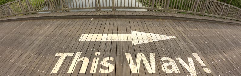 3 Dynamic Keys to Guide Your Next Career Move